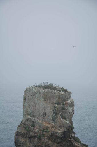 A vertical shot of a cliff in the sea covered in the fog - perfect for backgrounds