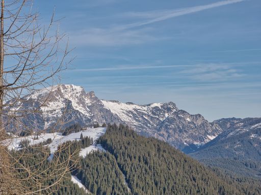 A stunning mountain landscape with snow-capped peaks under a clear blue sky, featuring evergreen forests and bare branches in the foreground.