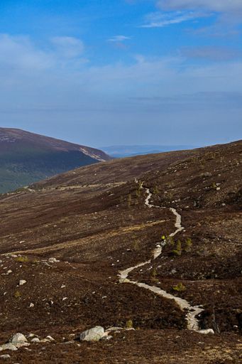 A scenic hiking trail winding through a barren landscape under a clear blue sky, capturing the essence of outdoor adventure.