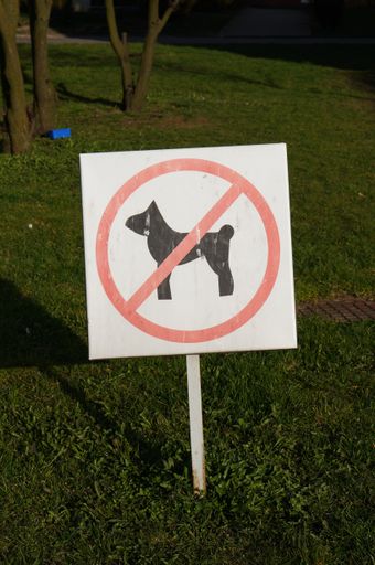 A closeup shot of a sign forbidding walking dogs