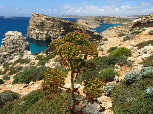 Gozo Channel ferry ships, used for transport between the islands of Malta and Gozo, as seen from the island of Comino. Crossing the deep sea and waves