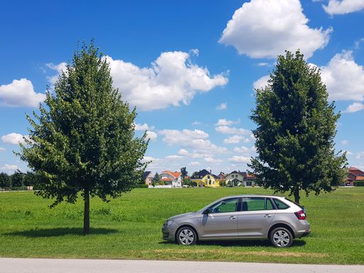 A car parked in front of two trees in the park on a sunny day