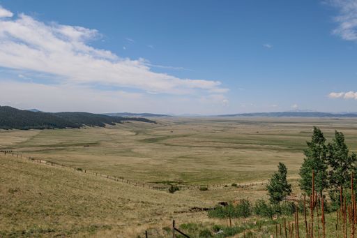 Expansive view of a vast grassy plain under a clear blue sky with distant mountains, showcasing natural beauty and tranquility.