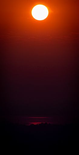 A vertical shot of the bright red sun at sunset over the horizon with the silhouette of tree foliage