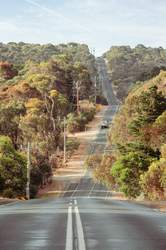 A vertical shot of a highway surrounded by greenery under the sunlight