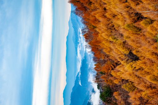 Beautiful autumn scenery with yellow-orange trees and mountains in the background