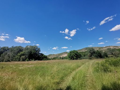A serene landscape of a grassy field with trees under a clear blue sky and scattered clouds.