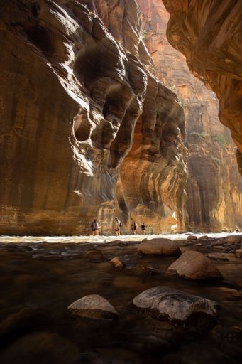 A group of hikers exploring the stunning Narrows in Zion National Park
