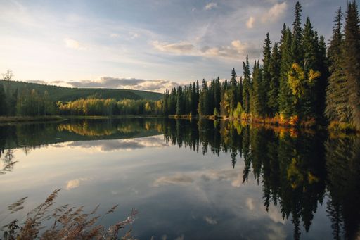 A serene lake reflecting a forest of evergreen trees under a cloudy sky during sunset.