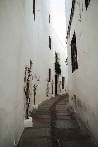 Narrow cobblestone alley with whitewashed walls and wrought iron windows in a historic European town, evoking a sense of timeless charm.
