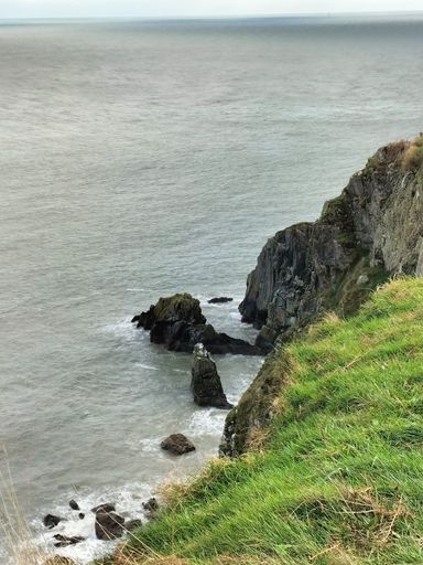 Scenic coastal view of rocky cliffs and green grass overlooking a calm sea, capturing the natural beauty of the shoreline.