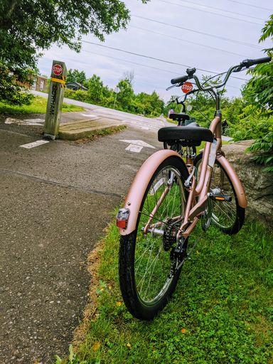 A vertical shot of a bicycle parked near the road