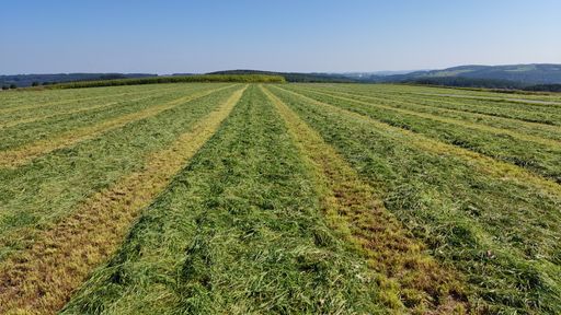 A high angle shot of agricultural land with green plants on a clear sunny day