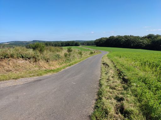 A high angle shot of an asphalt road through agricultural lands on a clear day