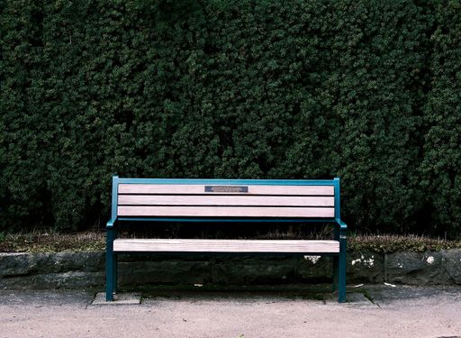 A solitary park bench against a dense green hedge, offering a serene outdoor setting.