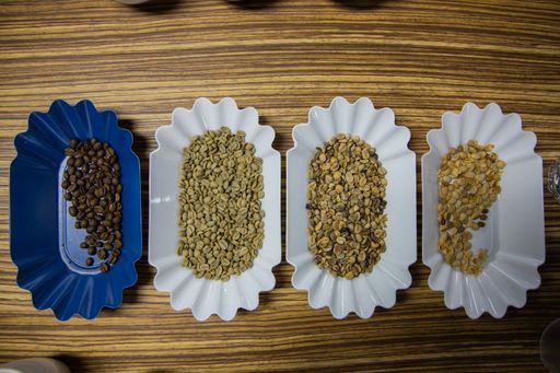 A top view of four plastic plates with roasted and raw coffee beans on a wooden table