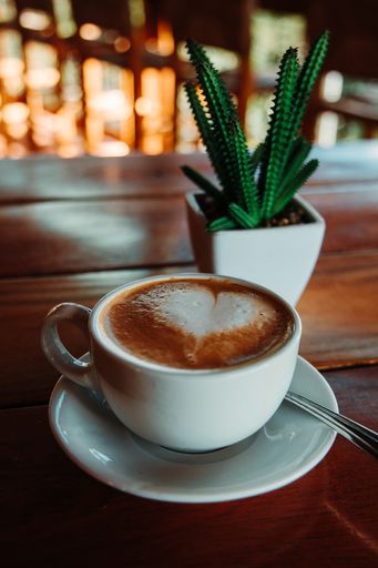 A vertical shot of a cactus and a cup of cappuccino with a heart-shaped foam on the wooden table