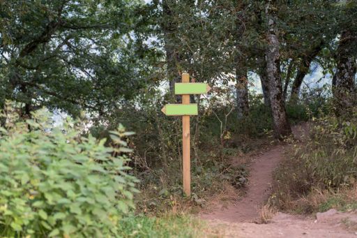 A closeup shot of an empty way signpost in a countryside