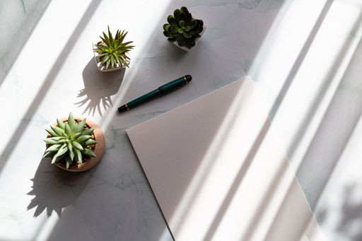A top view of a blank A4 paper, pots of cactuses, and a pen on a white table