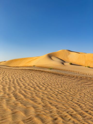 A scenic view of Abu Dhabi desert dunes at sunset, UAE