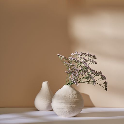 A marsh-rosemary in a white ceramic vase against a beige wall