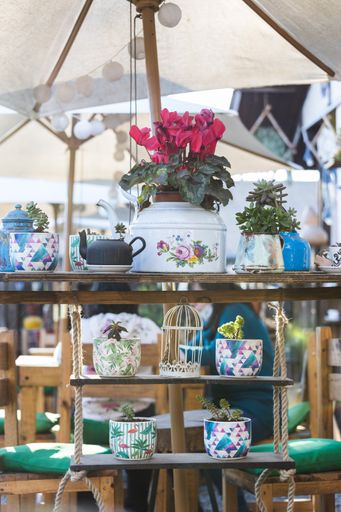 Different houseplants in craft pots on wooden shelves