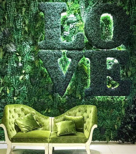 The interior of a room with green indoor grass growing on a wall and a sofa