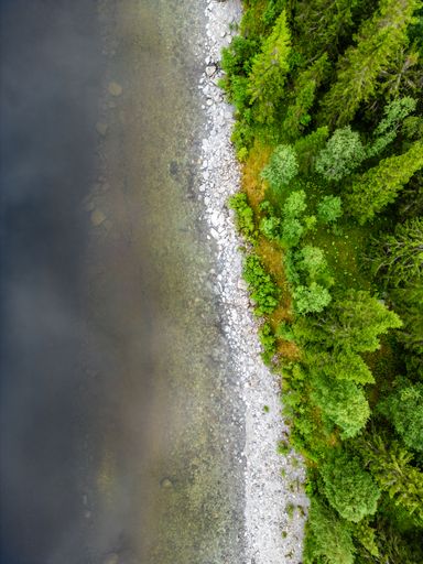Beuty oature from another angle