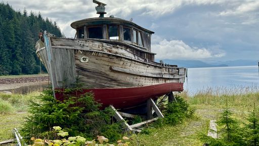 A weathered, abandoned fishing boat rests on land by a serene lake with lush green trees and a cloudy sky in the background.