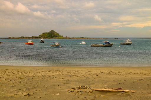 Fishing boats anchored on a windy day at Island Bay's deserted beach.