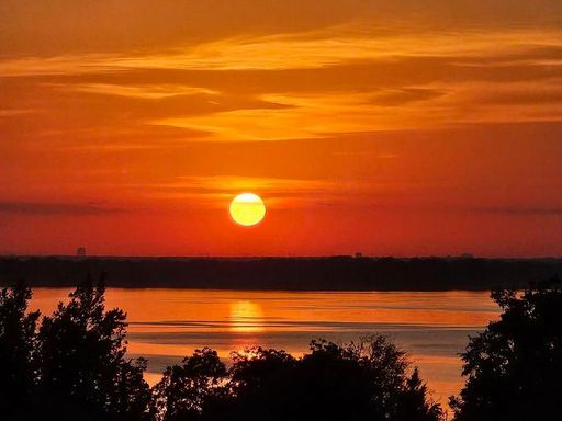 A stunning sunset over a calm lake with silhouetted trees, creating a serene and vibrant evening scene.