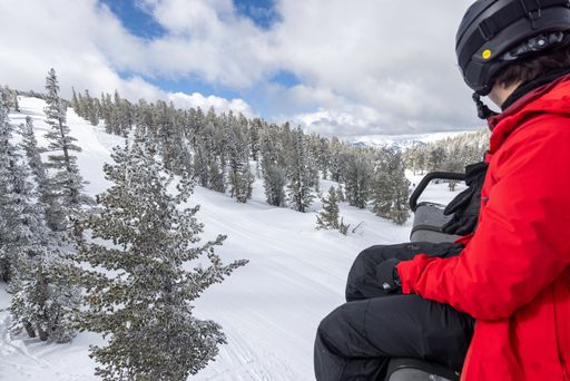 A skier in a red jacket views a snowy forest from a ski lift under a cloudy sky, capturing the serene winter landscape.