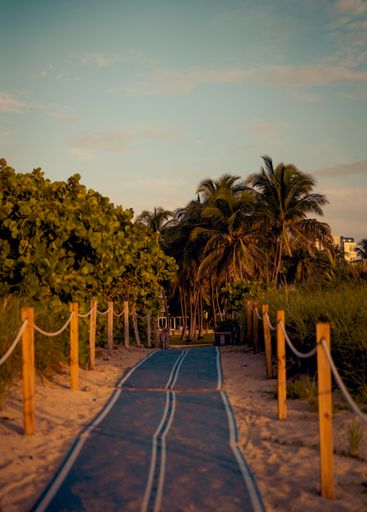 A beautiful view of the pathway with wooden poles that leas to the palms during dawn