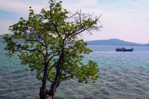 A closeup shot of a beautiful Koh Sdach or King's Island in Cambodia