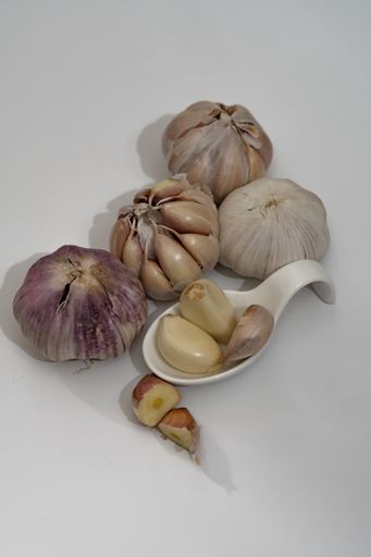 whole and peeled garlic on wooden board and white background