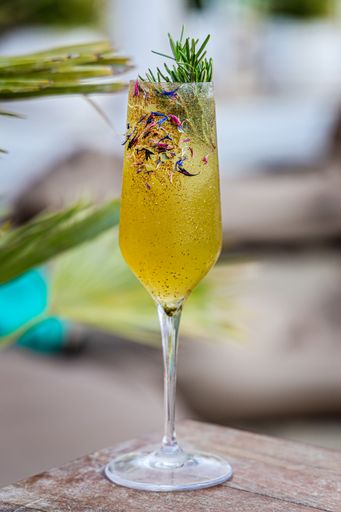 A beautiful alcoholic cocktail with citrus fruits in the cafe