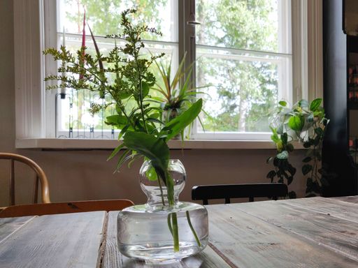 A closeup shot of a glass vase with plants on the wooden table indoors