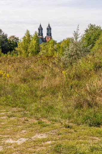A POV of the Piotr I Pawel cathedral in the distance seen through the growing vegetation
