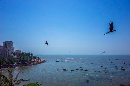 A closeup shot from the top view on a beautiful birds flying on the top of ocean, tourism boats below