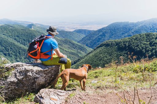 A young male Caucasian hiker sitting on a rock and enjoying the view of the mountains with his dog in summer