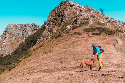 A young male Caucasian hiker with a backpack petting his dog in the mountains in summer