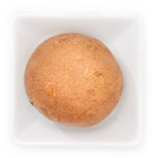 A closeup of champignon mushroom in a bowl on a white background