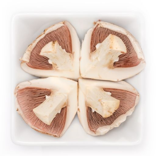 A closeup of chopped champignon mushroom in a bowl on a white background