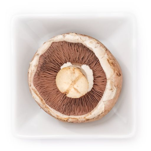 A closeup of a brown champignon in a white bowl on a white background