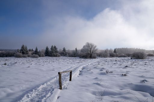 A serene winter landscape with a snow-covered field and a path leading through a forest under a bright blue sky.