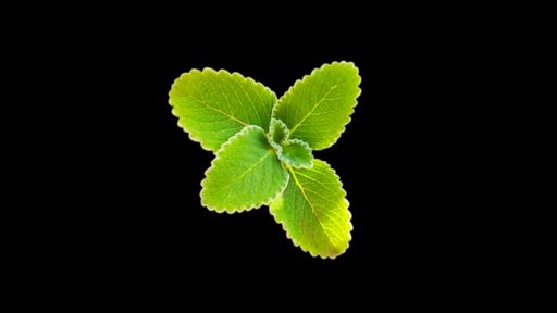 A closeup shot of mint leaves isolated on black background