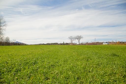 A beautiful green field under a cloudy blue sky during daytime