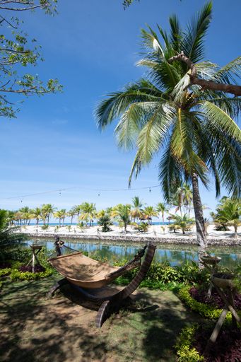 A vertical shot of a small tropical lake with palm trees and a hammock on the shore