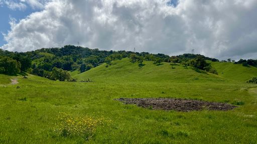 A lush green hillside landscape under a dramatic cloudy sky, showcasing vibrant spring growth and natural beauty.