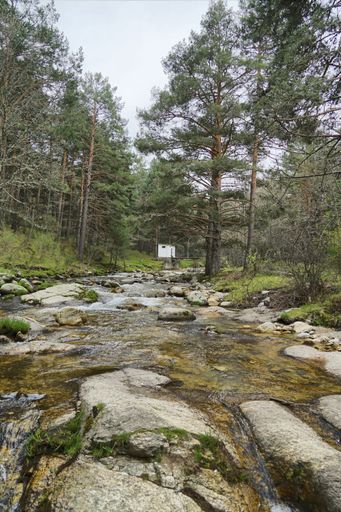A vertical shot of a waterfall surrounded by a forest during the day